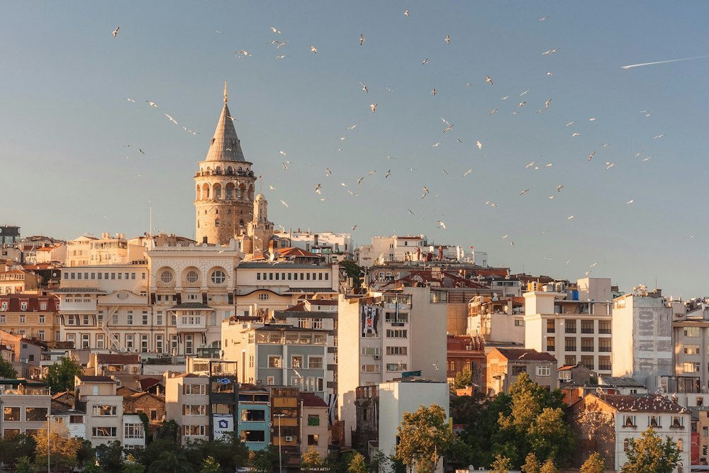 İstanbul Boğazı manzarası
